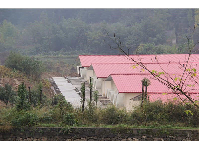 養(yǎng)殖新規(guī)出臺，農(nóng)民養(yǎng)豬面臨4大利好